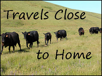 Travels Close to Home Link image