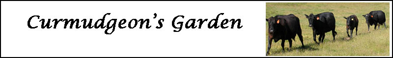 Curmudgeon's Garden Banner